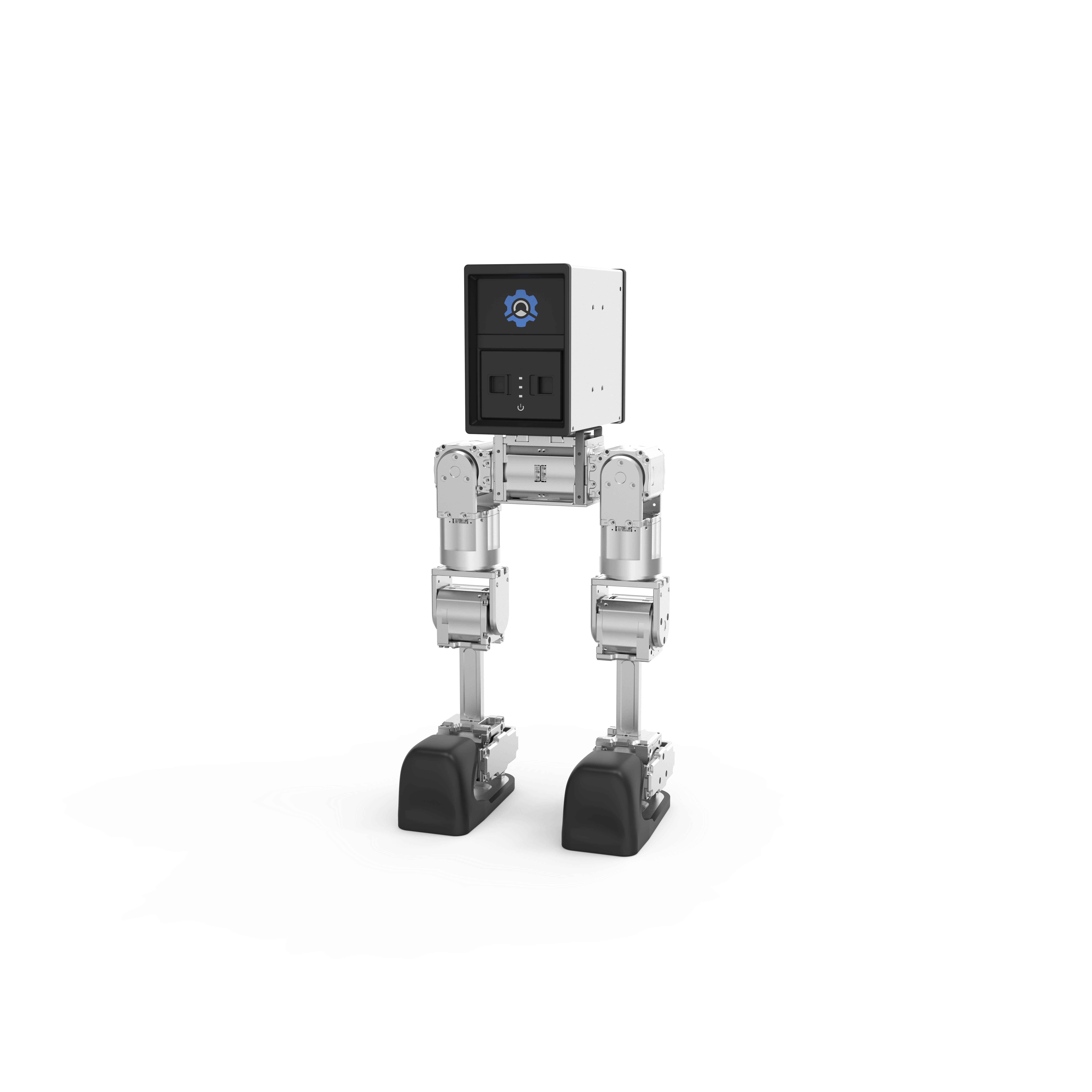 biped robot Mini Pi
